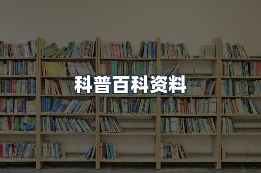 外文电子书系列
